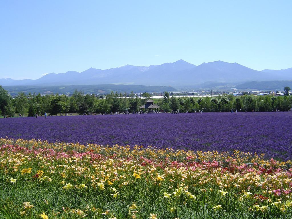 Furano Prince Hotel Kültér fotó